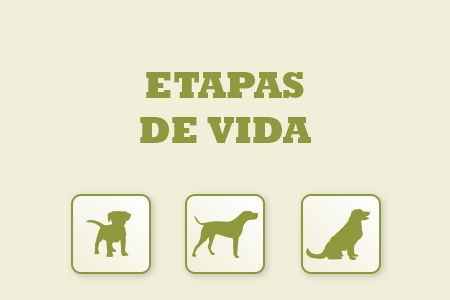 Alimentación natural adaptada a cada etapa de vida de tu perro